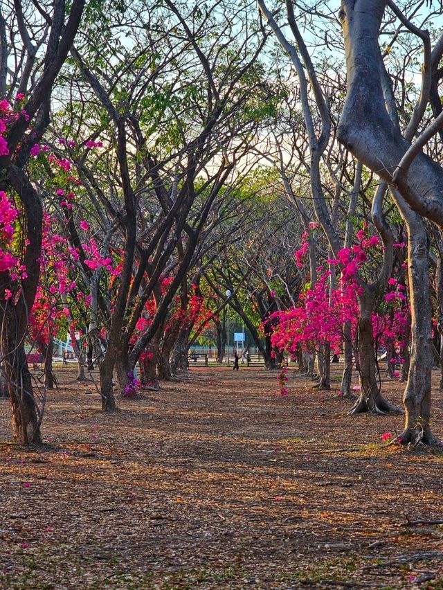 สวนสาธารณะ ภูเก็ต