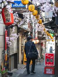 【新宿】新宿思い出横丁の四季：ノスタルジックな飲み屋街が見せる四季折々の表情🍢🌸🍁⛄