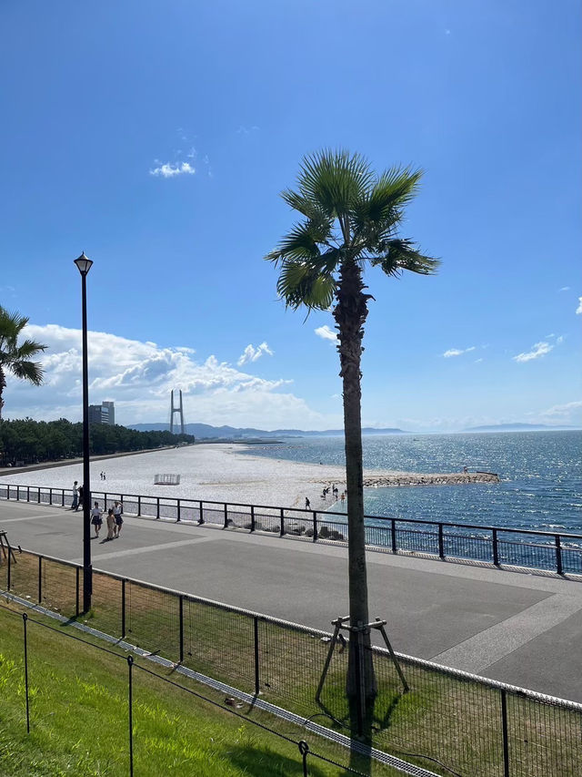 關西11日遊（下）