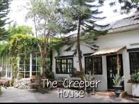 The Creeper House 