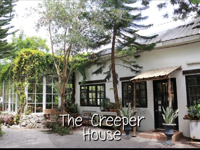 The Creeper House 