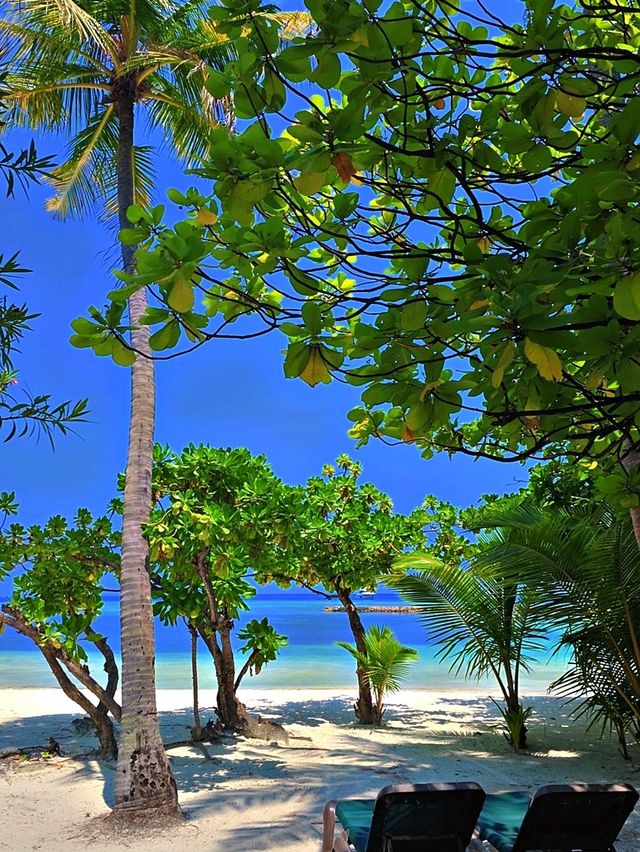 ✨ *Where the sun kisses the sea, and spring dances with