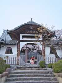 【愛知】行かなきゃ損‼️カメラ好きの憧れ✨額縁みたいな絶景🌸