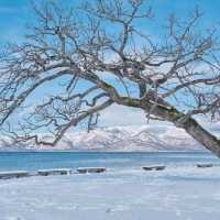 Hokkaido Japan