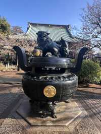 東京豪德寺 