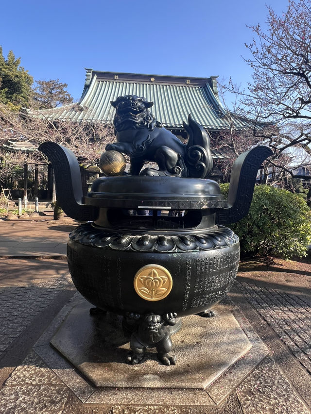 東京豪德寺 
