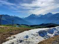 [🇨🇭スイス] ウェンゲン — アルプスの魅力溢れる美しい山岳リゾート