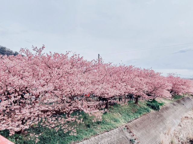 The prettiest season of all 