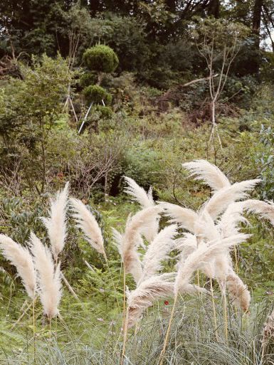 A Spring Paradise in Geoje, Gyeongnam