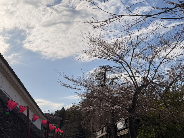 🏯白石城一日遊攻略｜小而美的日本古城，靜靜地說著歷史的故事🌿