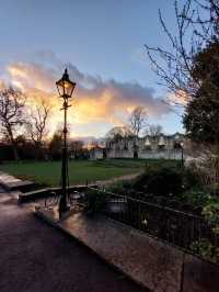 Museum Gardens 
