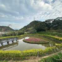 內湖碧山巖