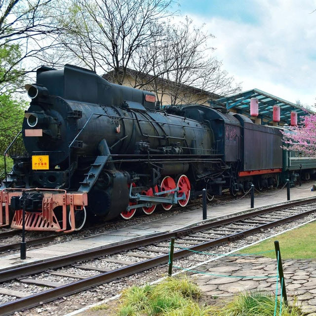 แวะไปถ่ายรูปสวยๆสวนรถไฟกับซากุระสีชมพูน่ารัก 