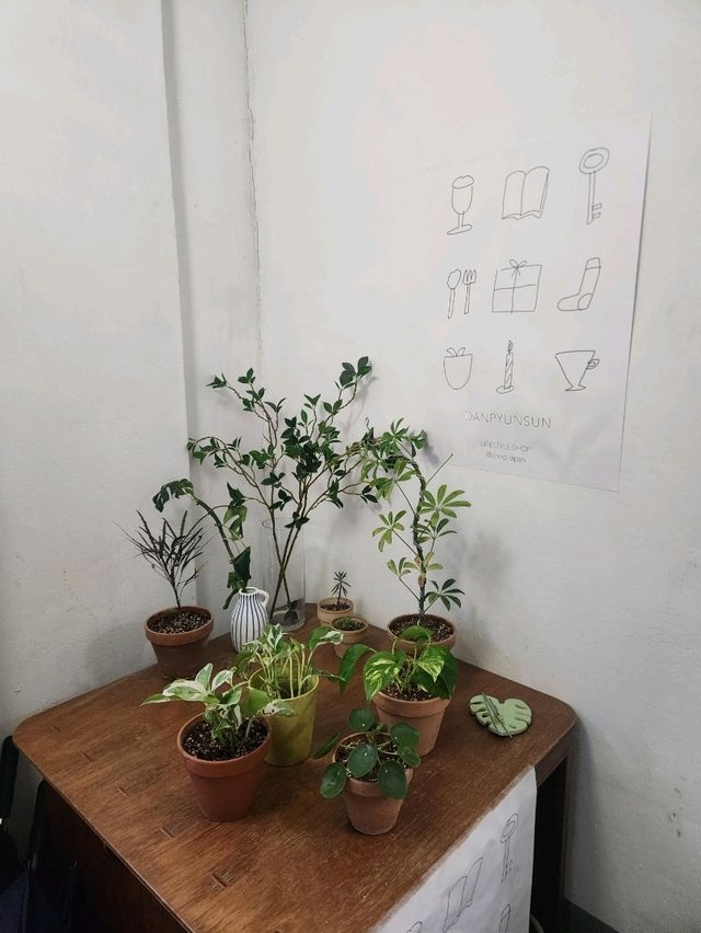 ❤️공주 데이트코스로 하기좋은 감성소품샵, "단편선"❤️