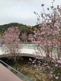 新加坡 -海口-文昌-海口-珠海-福州-亚庇-新加坡（30/3/25-7/4/25）