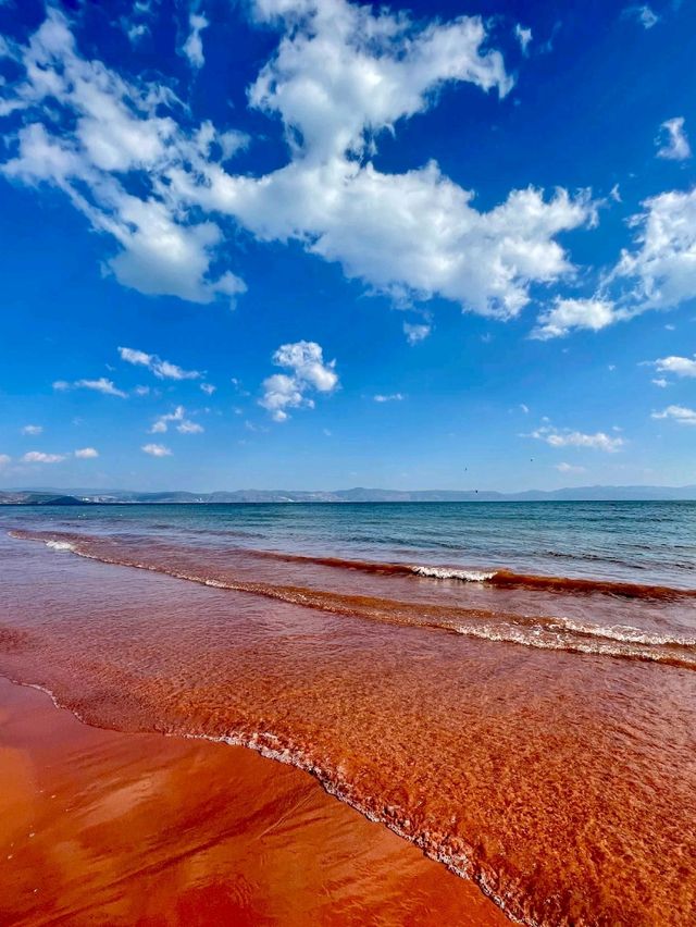 Red Sand Beach: Spring’s Crimson Canvas