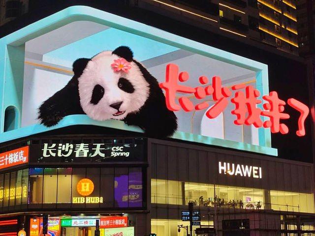 Wuyi Square: The Beating Heart of Changsha 
