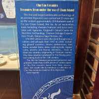 Hoi An Museum
