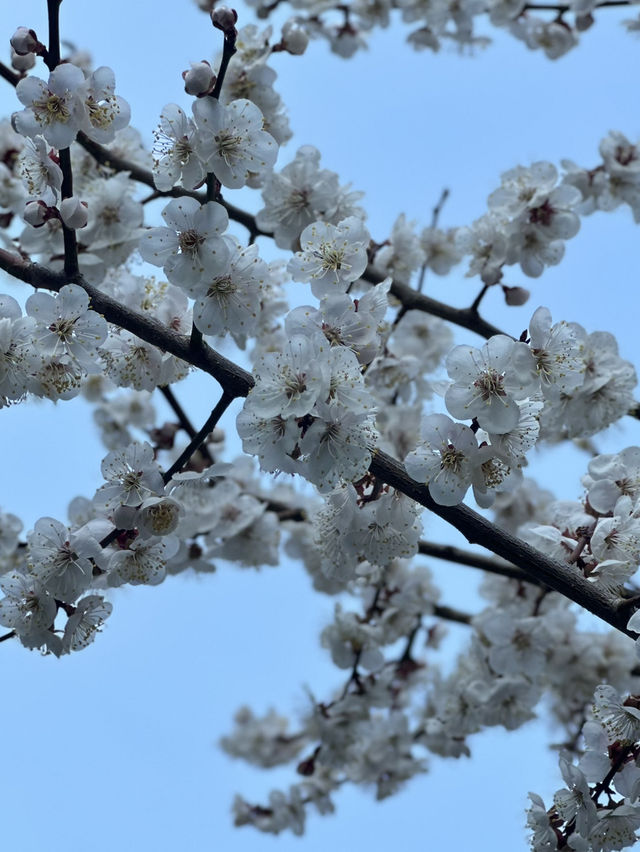 How to spend 5 days in Seoul