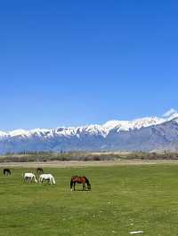 Mesmerising Kyrgystan