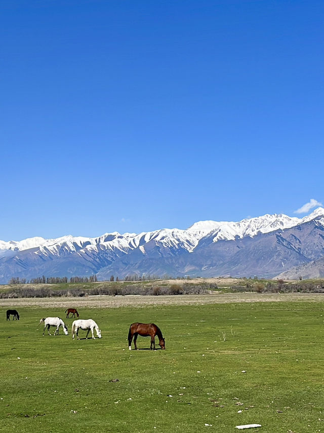 Mesmerising Kyrgystan