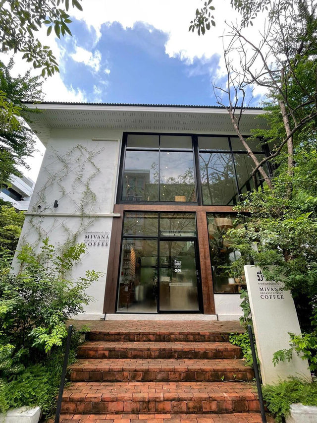 曼谷有氧森林系咖啡館 MiVana——玻璃屋裡的一整天