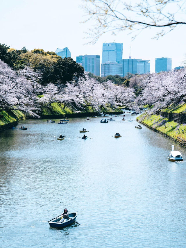 東京春日限定浪漫｜千鳥淵