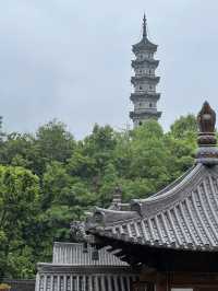 2 Days 1 Night Wuyi Itinerary
