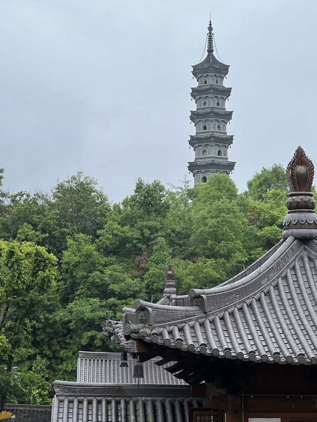 2 Days 1 Night Wuyi Itinerary