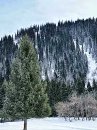 Magical Winter in Nalati: A Fairytale of Snow and Serenity