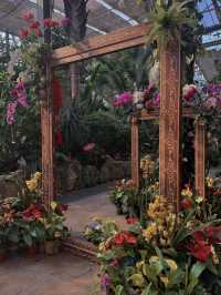 Yes!! Wuhan Has Its Own Little "Monet Garden" Too
