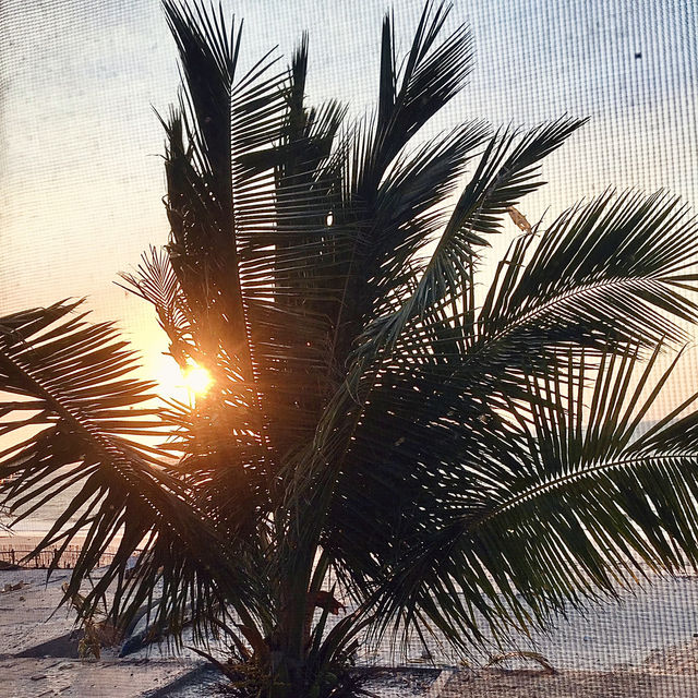 房內就能聽海浪！莫隆達瓦舒適小旅館