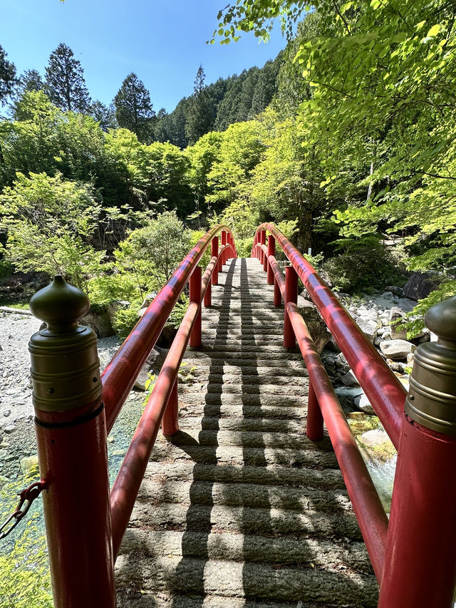 【岐阜】青もみじと赤い橋のコントラストに魅了