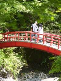 【岐阜】青もみじと赤い橋のコントラストに魅了