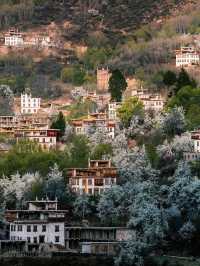 Discover and explore Zhonglu