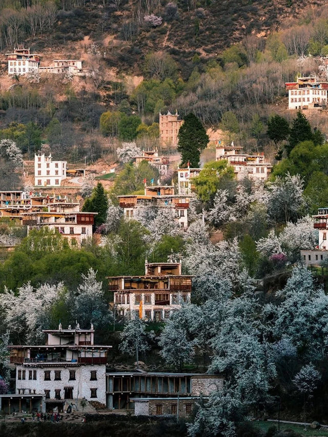 Discover and explore Zhonglu