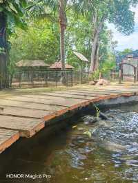 Taman Buaya Melaka, Crocodile & Creation Park🐊