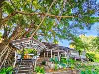 The River Wild Cafe'
