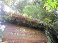 รวม 8 จุดเช็คอินสัมผัสธรรมชาติที่ดอยอินทนนท์🌳