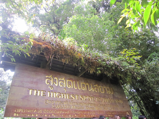 รวม 8 จุดเช็คอินสัมผัสธรรมชาติที่ดอยอินทนนท์🌳