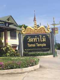 วัดสวยศิลปะล้านนา วัดท่าไม้✨️