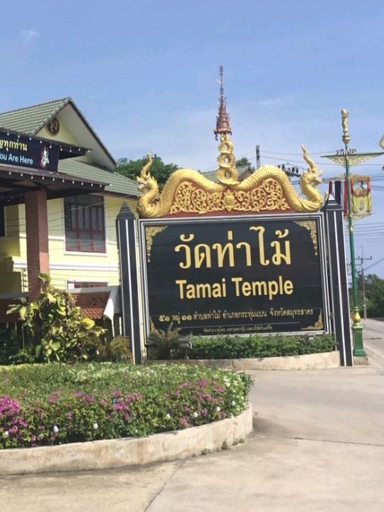 วัดสวยศิลปะล้านนา วัดท่าไม้✨️