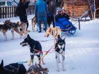 6 Days in Lake Baikal