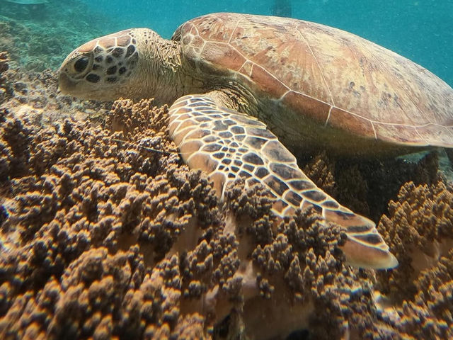インドネシアの3つの楽園🏝️
