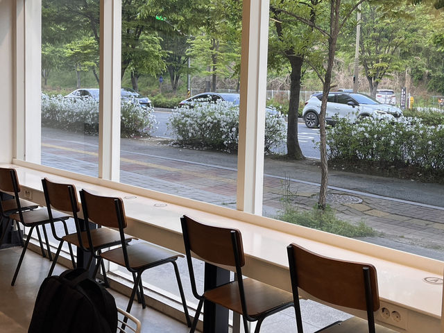 전주 하가지구 통유리창 뷰 감성카페