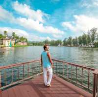 Angsana Laguna Phuket อังสนา ลากูน่า ภูเก็ต 