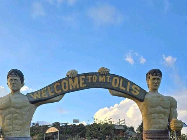 Rise to New Heights at Mount Olis: Soaring 7,900 Feet Above Sea Level!