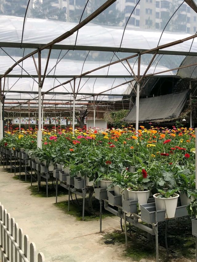 🍓✨ Genting Strawberry Leisure Farm: A Berry Sweet Escape!