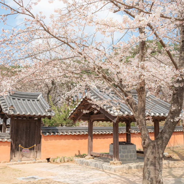首爾近郊旅遊勝地-江陵