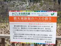 【鹿児島】日本最大の城門を見る！